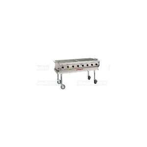   in Modular Radiant Transportable Stainless Grill, NG