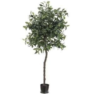  Pack of 2 Decorative Bay Leaf Topiary Trees with Round 