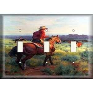  Three Switch Plate   Roaming Cowboys: Home Improvement