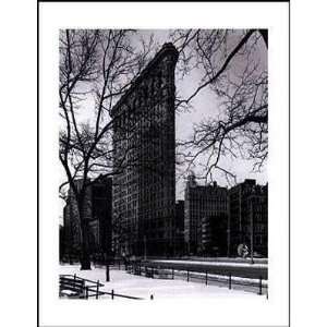 Flat Iron Building Poster Print 