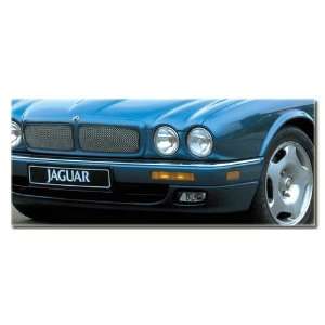  Mesh Grille Insert for Jaguar Jaguar XJ6 Automotive