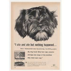  1960 Black Dog Ate Nothing Happened Surechamp Dog Food 