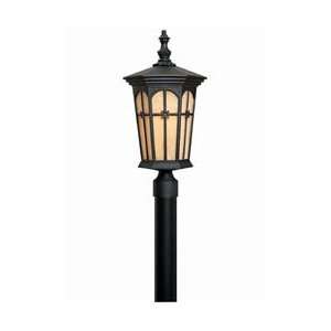 On Sale! Hinkley Lighting Warwick Patina Black Outdoor Large Lamp Post 