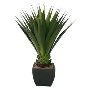  Laura Ashley Eco Friendly Realistic Giant Aloe Plant in 