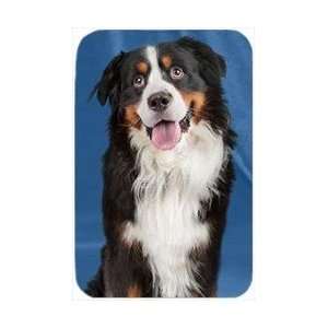    Bernese Mountain Dog Tempered Cutting Board: Kitchen & Dining