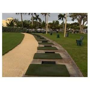  Country Club Elite Golf Mat 3x4 Sports & Outdoors