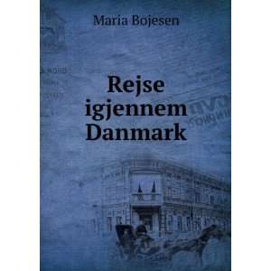  Rejse igjennem Danmark Maria Bojesen Books