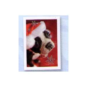   Boxed Cards PX 6207 Boston Terrier with Santa Hat 