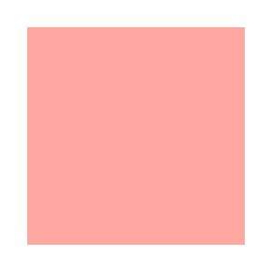  035 Light Pink Gel Filter Sheet 10 x 10: Camera & Photo