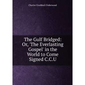  The Gulf Bridged: Or, The Everlasting Gospel in the 