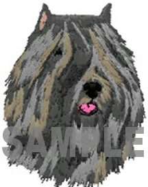 border terrier borzoi boston terrier bouvier des flandres