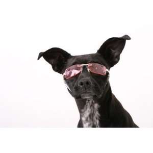  Doggles K9 Optix L Pink Rhinestone Lens: Pet Supplies