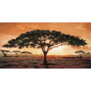 Memories Of Masai Mara by Madou Madou 55x28:  Home 