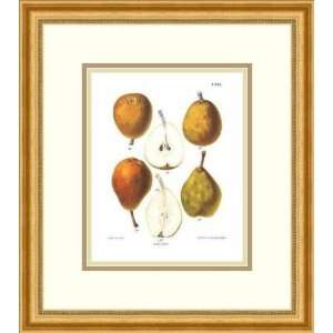  Pears by Anonymous   Framed Artwork: Home & Kitchen