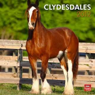 Clydesdales 2012 Wall Calendar 9781421679358  