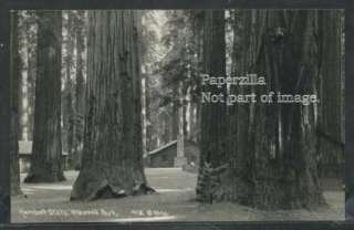 CA Humboldt State Park RPPC 1933 LODGE Cabin STORE Redwood Hwy by 