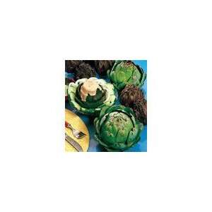  Artichoke Imperial Star Seeds Patio, Lawn & Garden