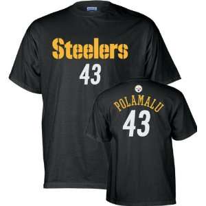   Reebok Name and Number Pittsburgh Steelers T Shirt: Sports & Outdoors