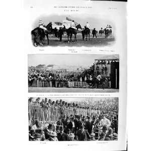 1901 Derby Horse Racing Wargrave Charles Volodyovski Reiff Golf Chiene 