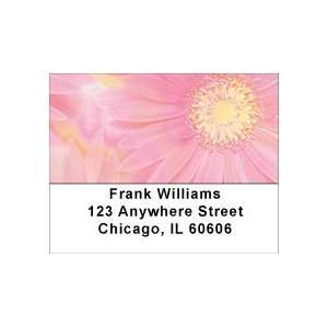  Pink Dreams Address Labels: Office Products