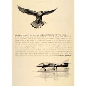1963 Ad Hawker Siddeley P.1127 V/STOL Jet Fighter Eagle   Original 