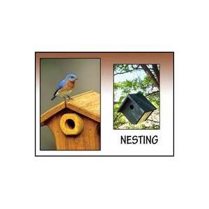  Songbird Essentials Nesting Sign 