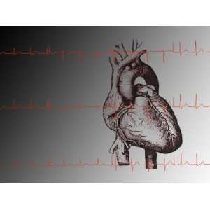  Heart and Readout of EKG ECG Cardio Rhythms Photographic 