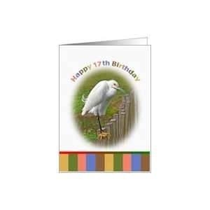    17th Birthday Card with Snowy Egret on a Fence Card: Toys & Games