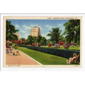  Reprint Flamingo Hotel, Miami Beach, Florida: Home 