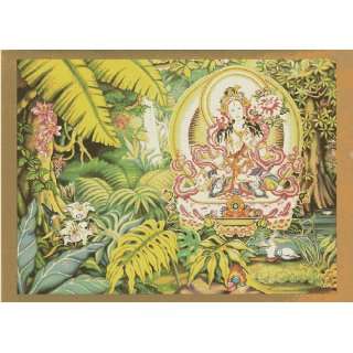  White Tara in the Rainforest Buddhist Greeting Cards 