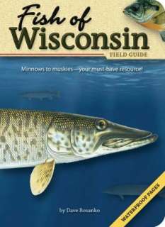   Birds of Wisconsin Field Guide (Companion to Birds of 
