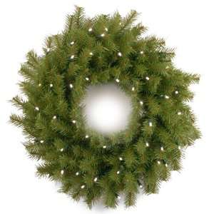   Wreath   Prelit with 50 Battery Operated Soft White LED Lights: Home