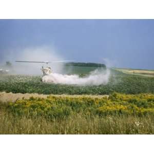  Crop Dusting Helicopter Hovers Low over a Potato Field 