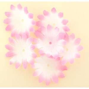  Daisy Flower Head in Pink   30 Pieces 