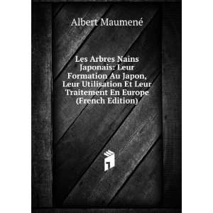   En Europe (French Edition): Albert MaumenÃ©:  Books