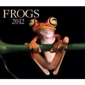  Frogs 2012 Deluxe Wall Calendar