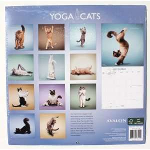  Yoga Cats 2012, 16 Month Calendar