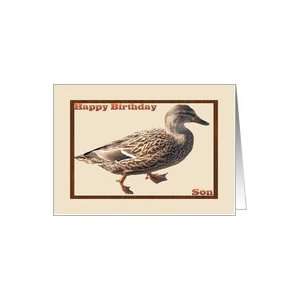  Birthday for Son, Mottled Duck Design Card Toys & Games