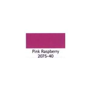  BENJAMIN MOORE PAINT COLOR SAMPLE Pink Raspberry 2075 40 