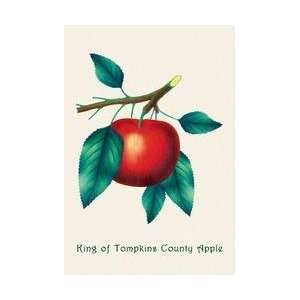  King of Tompkins County Apple 12x18 Giclee on canvas