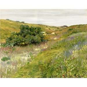   William Merritt Chase   24 x 20 inches   Landscape, Shinnecock Hills