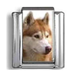  Siberian Husky Dog Photo Italian Charm: Jewelry