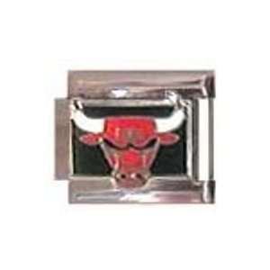  NBA Chicago Bulls Team Logo Italian Charm: Sports 