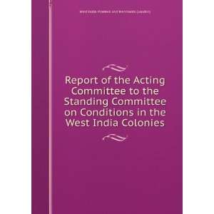 Report of the Acting Committee to the Standing Committee on Conditions 