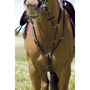  Kieffer Leather Breastplate with Martingale Sports 