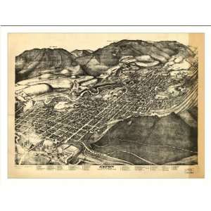  Historic Aspen, Colorado, c. 1893 (M) Panoramic Map Poster 