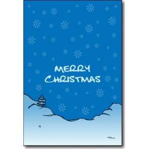  Snowflake Scene Christmas Cards   16 Sets: Health 