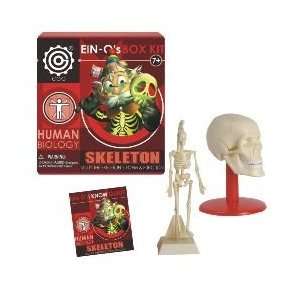  Ein Os Human Biology Skeleton Box Kit Toys & Games