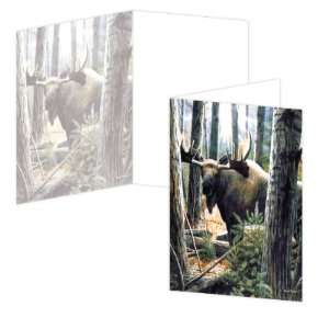  ECOeverywhere King of the Northwoods Boxed Card Set, 12 