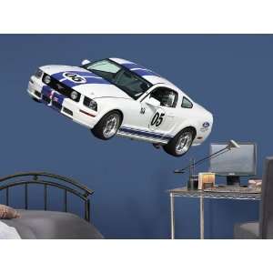 2005 Ford Mustang FR500C   Daytona Peel & Stick Accent:  
